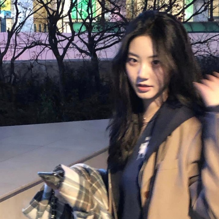 吉娜的肖像